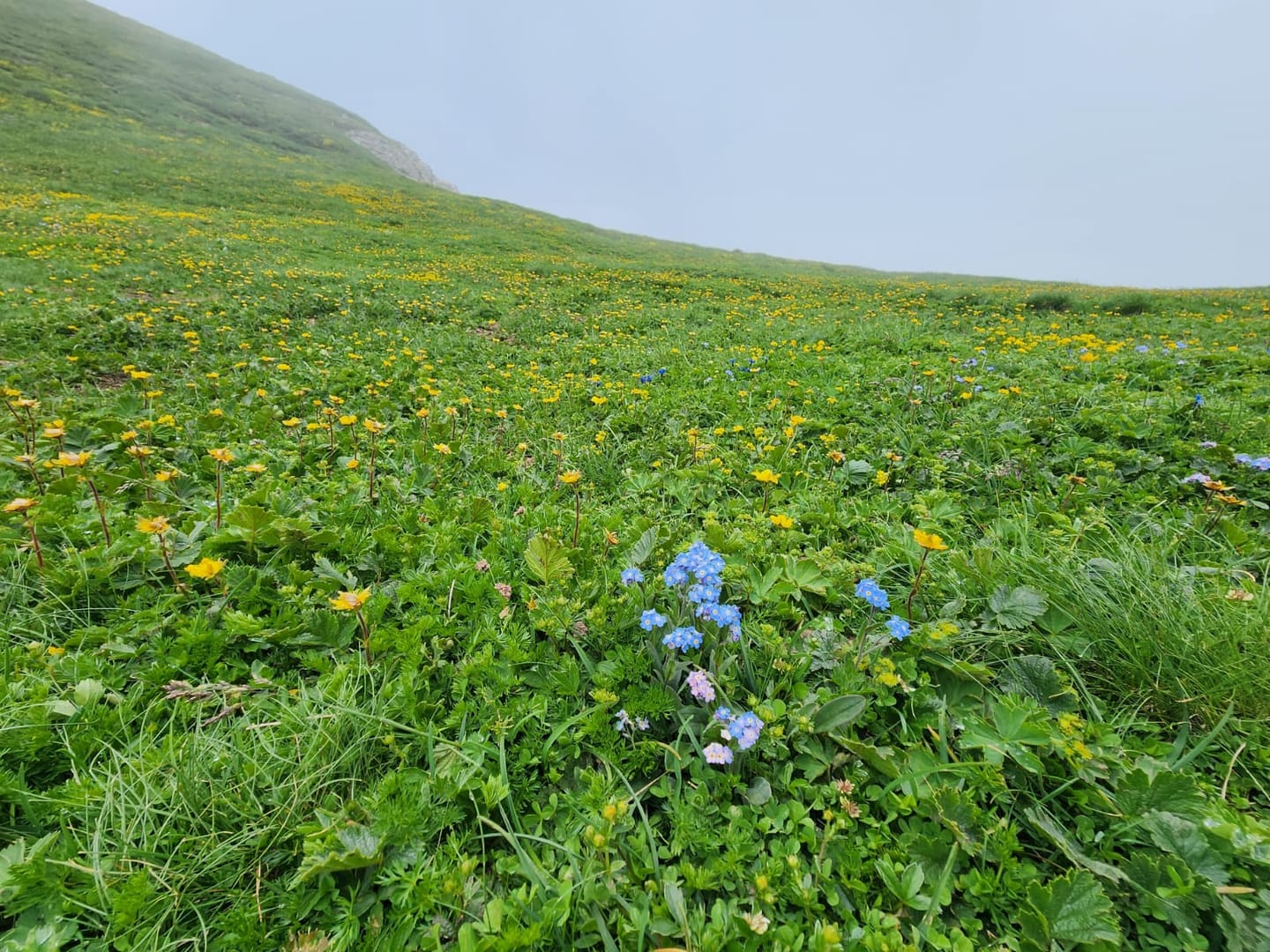 Highest Peaks Challenge: Albania, Montenegro, North Macedonia & Kosovo · from Tirana or Tirana Airport to Korab, Gjeravica, Kolata, Doberdol, Ceremi, Valbona, Komani Lake · photo 20