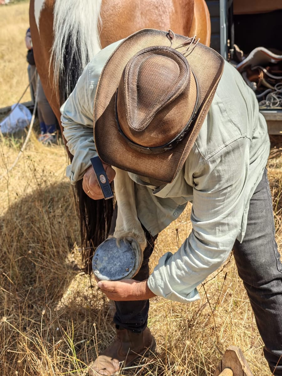 A guide in a cowboy hat preparing the horses