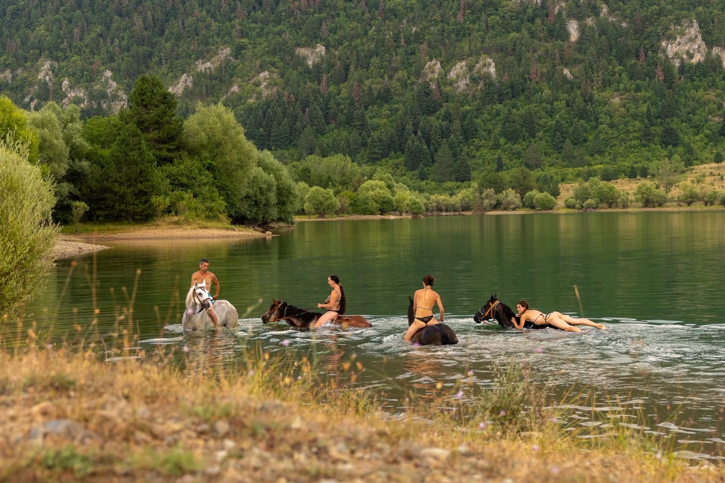 Horses and riders bathing in the water below forested hills