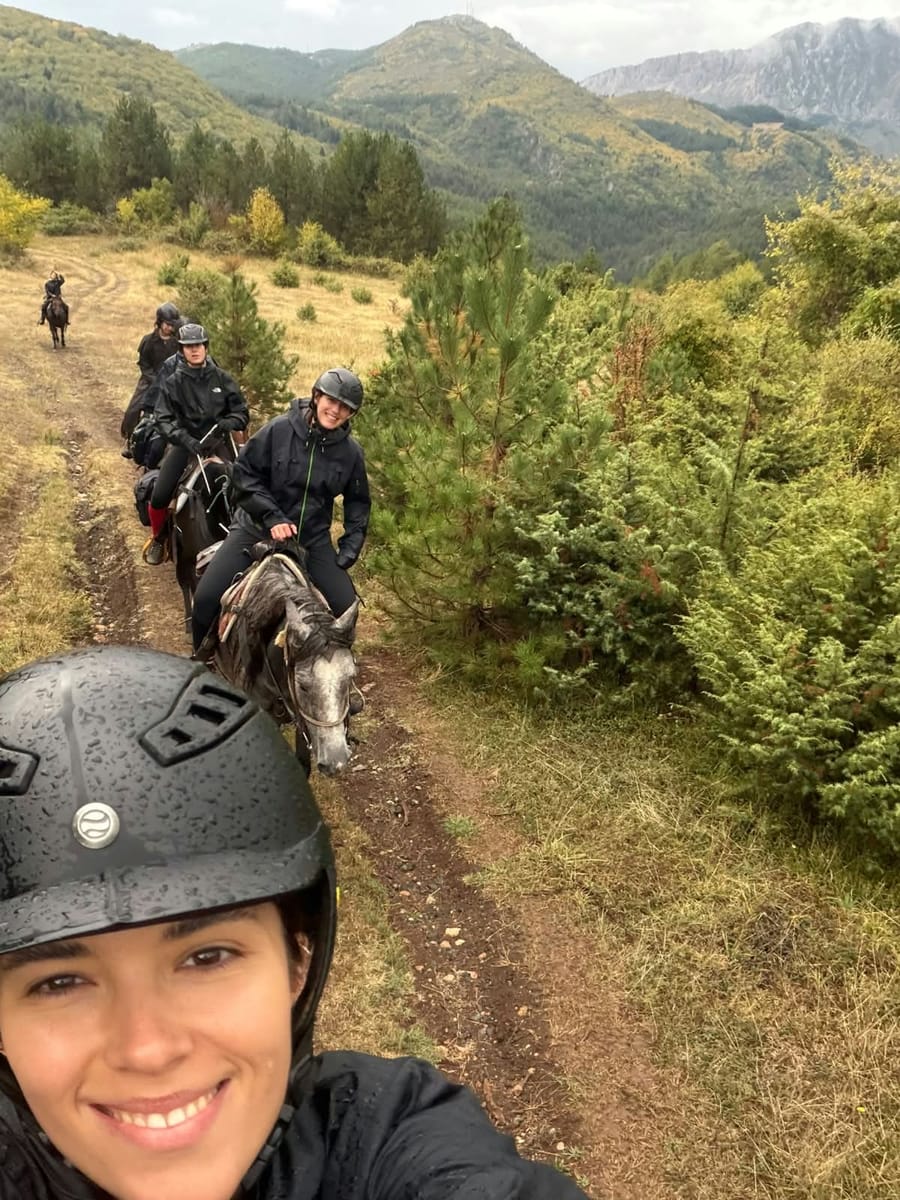 Riders in helmets on a forest trail