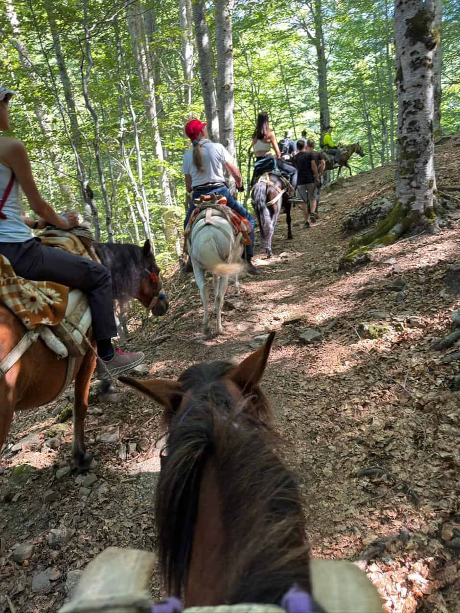 Off the Beaten Path Albania: Shepherd Trails, Mule Trekking & Kayaking — photo 1