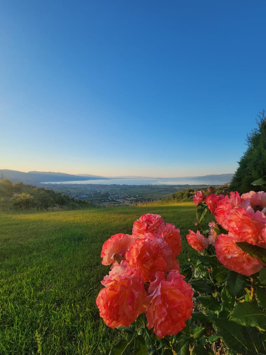 Western Balkans Premium Experience · Albania to Kosovo and Rep North Macedonia · photo 14